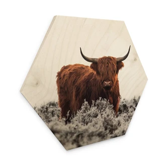 Hexagon Holzbild van den Helm - Highlander 