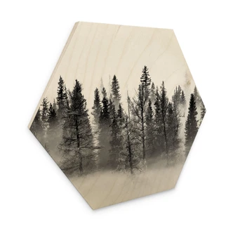 Hexagone - Bois Xu - Foggy Forest 