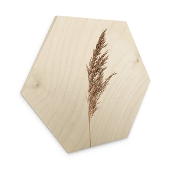 Hexagon - Holz Ziergras No. 1 