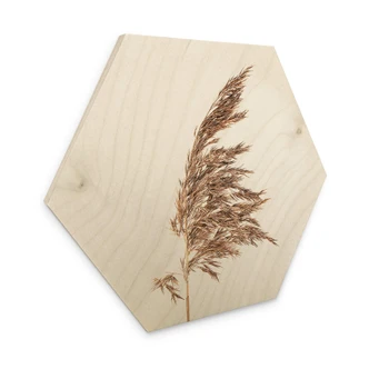 Hexagon - Holz Ziergras No. 2 