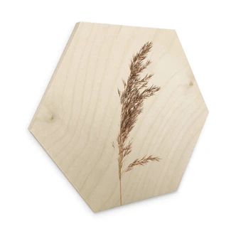 Hexagon - Holz Ziergras No. 3 