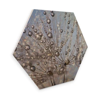 Hexagon Berkenfineer Delgado - Waterdrop Dandelion 