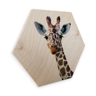 Hexagon Hout - Graves - Giraffe 
