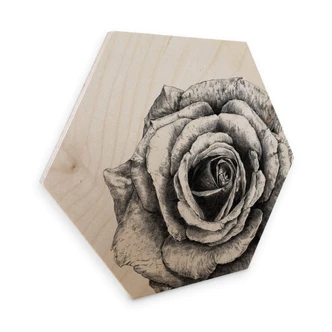 Hexagon - Wood Birch veneer Kools - Rose 