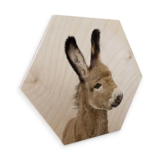 Hexagon - Holz Birke-Furnier Sisi & Seb - Baby Esel 