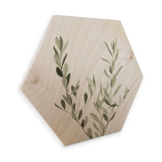 Hexagon - Holz - Sisi & Seb - Olivenzweig 