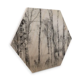 Hexagone - Bois Talen - Forêt de bouleaux noirs et blancs 