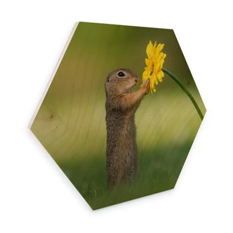 Hexagon - Holz Birke-Furnier van Duijn - Erdhörnchen hält Blume 