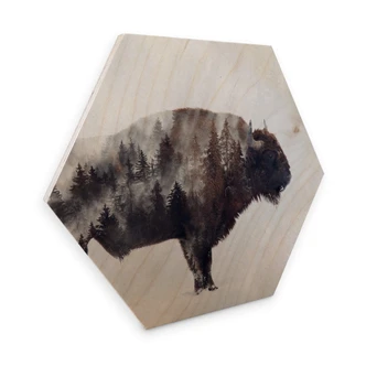 Hexagon - Holz Birke-Furnier - Beáta - Der Bison 