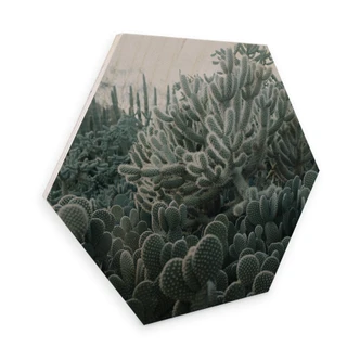 Hexagon Wood Birch Veneer - Cactus 