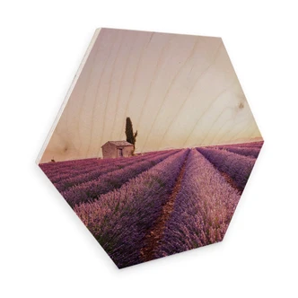 Hexagon Wood Birch Veneer - Lavender 