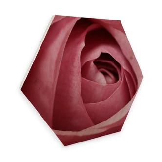 Hexagon wood - Pink Roses 