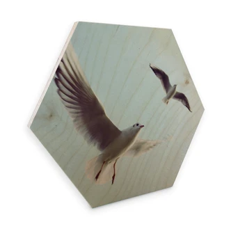 Hexagon Wood - Sea Gulls 