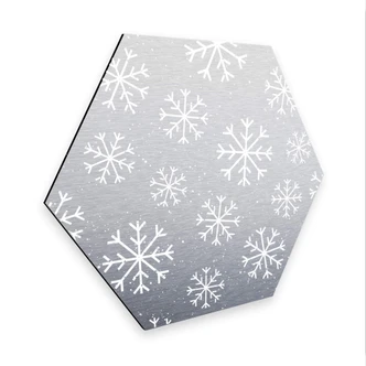 Esagoni Alu-dibond - Fiocchi argento 