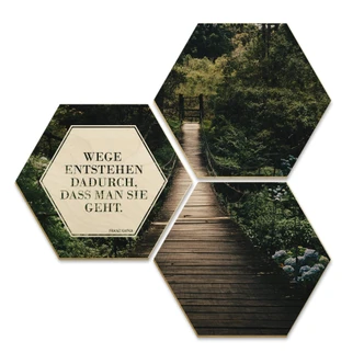 Hexagon - Holz Birke-Furnier - Wege entstehen dadurch, dass man sie geht (3er Set) 