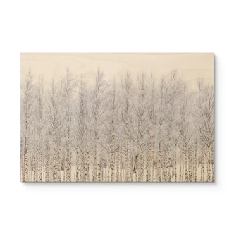 Holzbild Birkenwald im Winter - EMELIEmaria 
