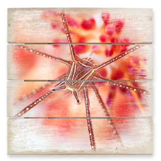 Holzbild Narchuk - Unterwasser-Exotik - 40x41,5 cm 