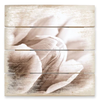 Holzbild Tulpe im Detail - 40x41,5 cm 
