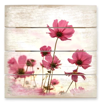 Pink Cosmos 2 - Wood Print 