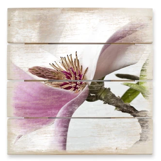 Holzbild Magnolie - 40x41,5 cm 