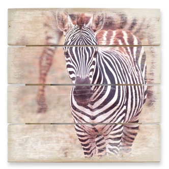 Holzbild Zebra Fohlen - 40x41,5 cm 