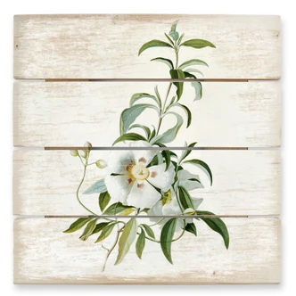 Holzbild Ehret - Zistrose - 40x41,5 cm 