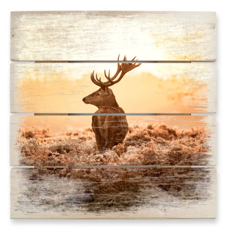 Stampa su legno - Cervo maestoso 
