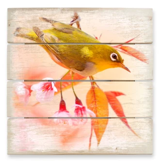 Holzbild Vogelgezwitscher in der Kirschblüte - 40x41,5 cm 
