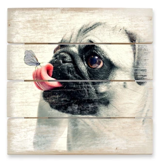 Holzbild Tierische Zuneigung - 40x41,5 cm 