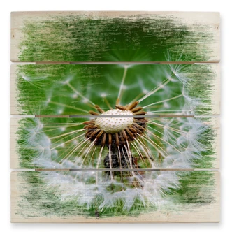Holzbild Pusteblume im Wind - 40x41,5 cm 