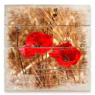 Holzbild Mohnblüten im Feld - 40x41,5 cm 