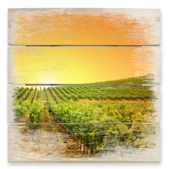 Holzbild Sonnenuntergang im Weinberg - 40x41,5 cm 