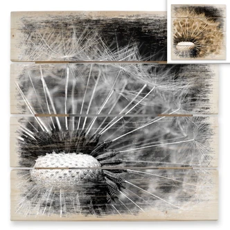 Holzbild Dandelion - 40x41,5 cm 