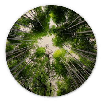 Cuadro de madera Hugonnard - Bosque en Japón - Redondo 