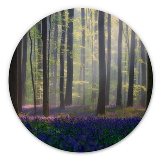 Wandcirkel Hout Popan - Hyacinthen 