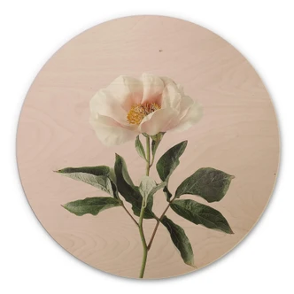 Wandcirkel Hout Sisi & Seb - Flower  