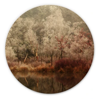 Wall Circle Wood van Dongen - Frosted Forest 