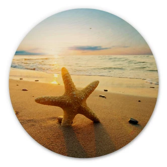 Tableau en bois Etoile de mer dans le sable - Rond 