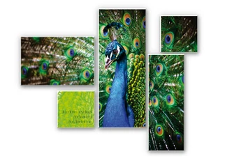 Tableau Forex - Dans chaque créature de la Nature (5 pièces) 