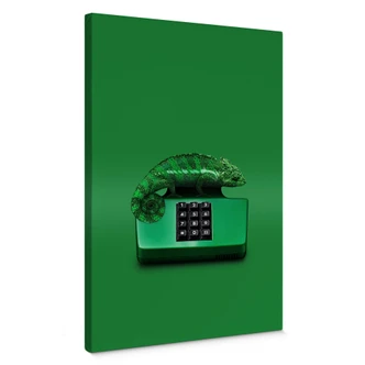 Canvas Loose - Kamelephone 