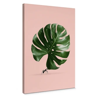 Canvas Loose - Monstera Ant 