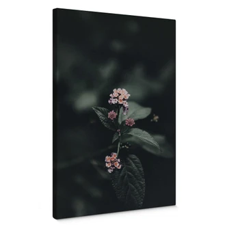 Leinwandbild Zarte rosa Blüte 