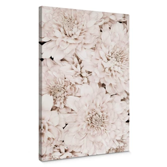 Canvastavla 1X Studio - Aster Aprikos 