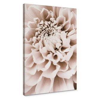 Canvastavla 1X Studio - Krysantemum 