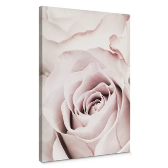 Canvastavla 1X Studio - Dyrbar ros 