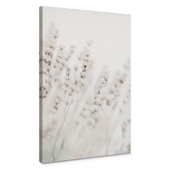 Canvastavla 1X Studio - Fina gräs 