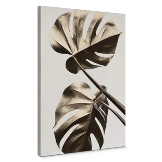 Leinwandbild 1X Studio - Goldene Monstera 
