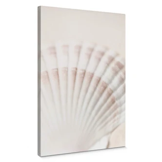 Canvastavla 1X Studio - Scallop 