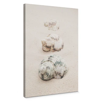 Canvastavla 1X Studio - Havssniglar 