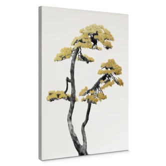 Canvas Amini - Bonsai 